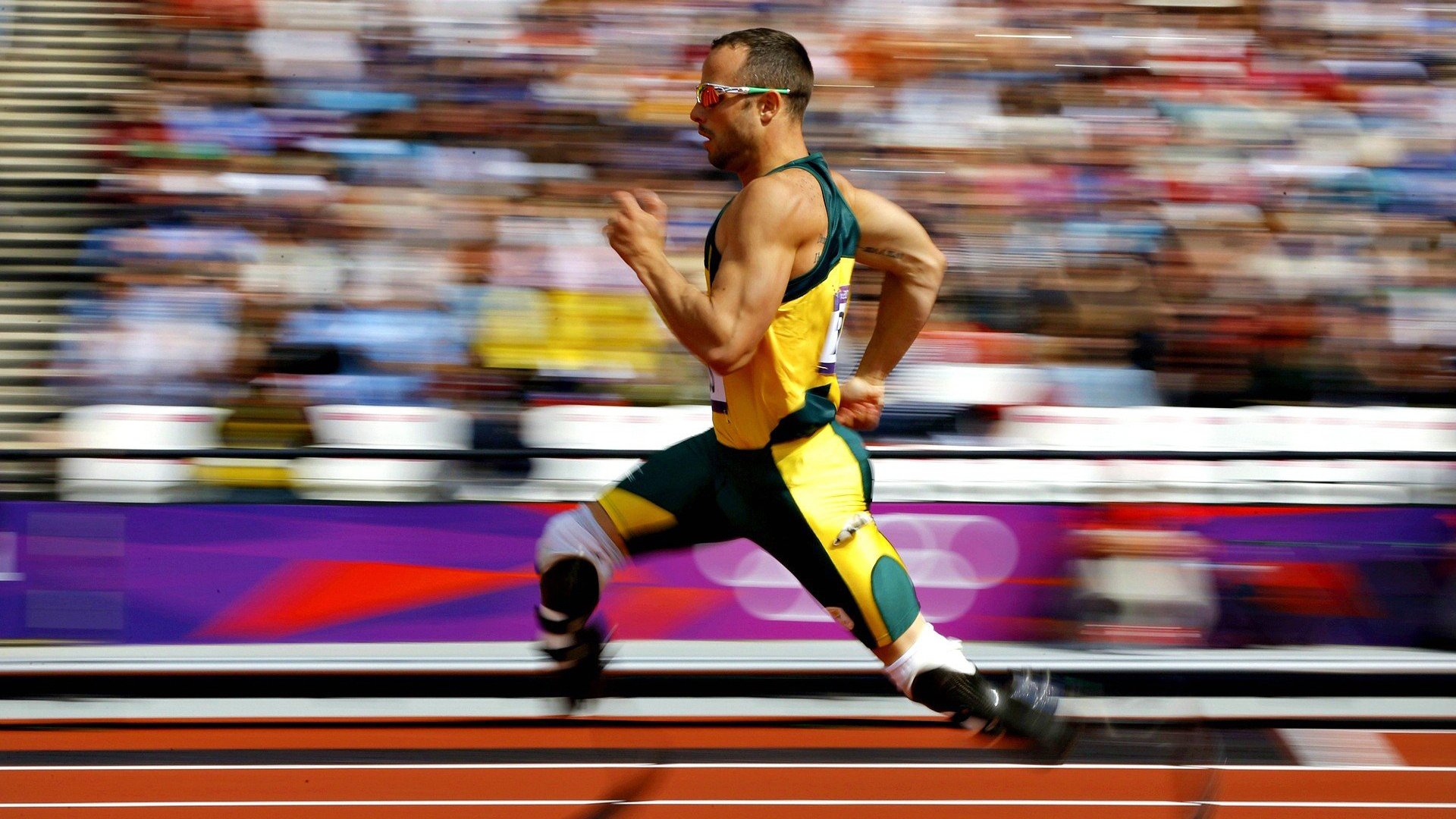 开云真人体育娱乐-《电竞领域新兴产业：从硬件到赛事策划全线布局》，电竞行业解读